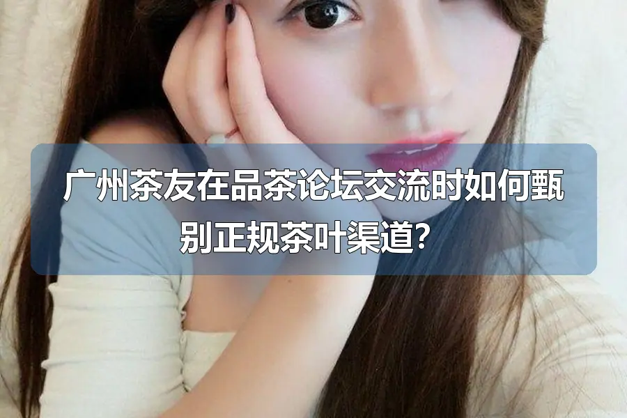 广州茶友在品茶论坛交流时如何甄别正规茶叶渠道？